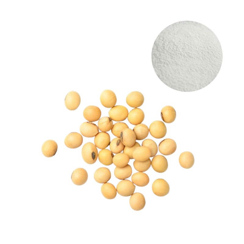 HPLC 98% pure daidzein powder derived from non-GMO Glycine max soybeans for supplement formulas