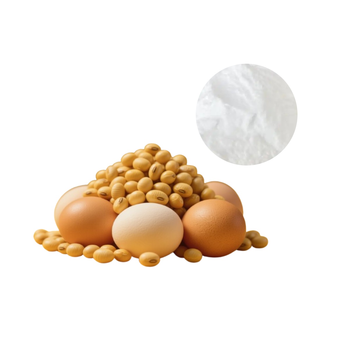 Alpha GPC supplement derived from natural sources like eggs and soy, supporting brain health and cognitive function.