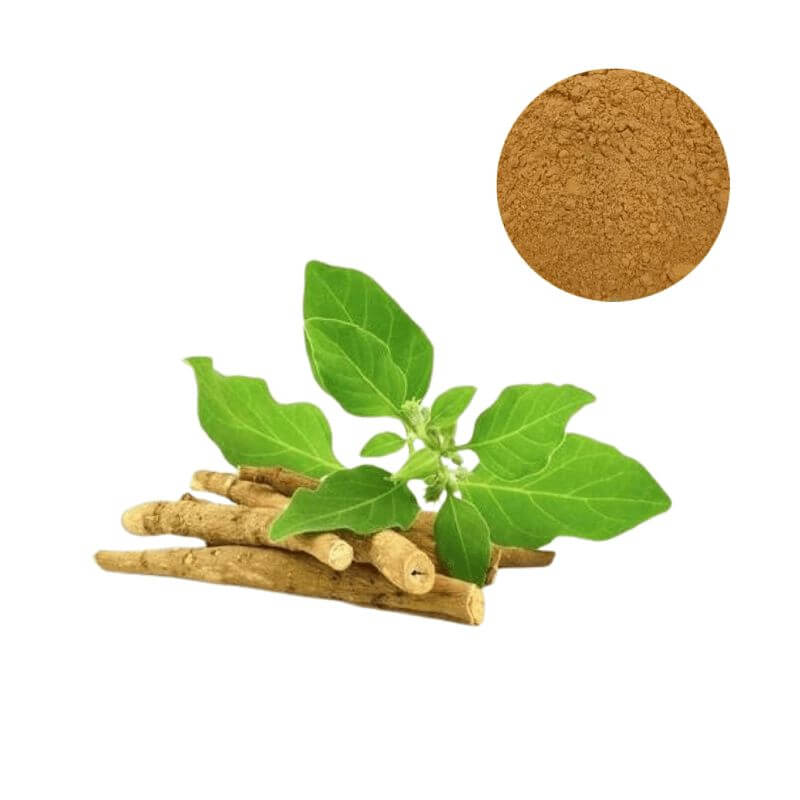 Ashwagandha root extract powder ingredient, showing natural origin of standardized adaptogen for supplement manufacturing