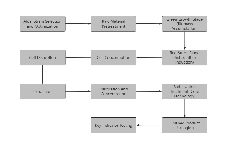Astaxanthin Production Process Flowchart Visual flowchart of astaxanthin production from microalgae, including cultivation, extraction, and purification stages.