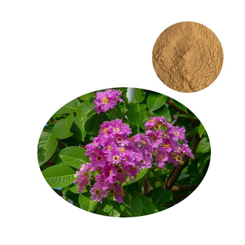 Standardized banaba leaf extract powder with lagerstroemia speciosa leaf and flower.