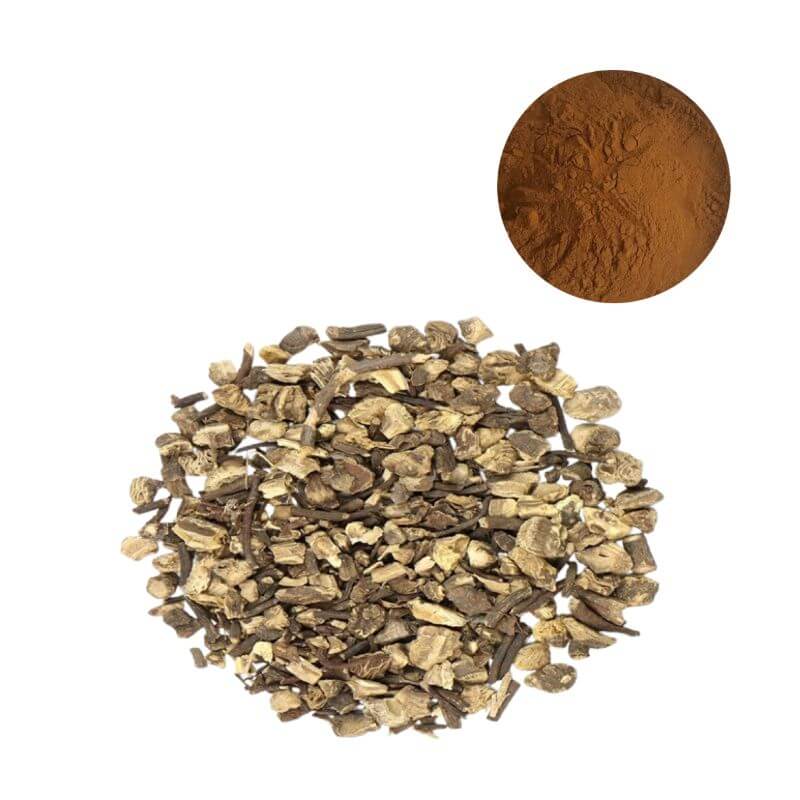 Bulk Black Cohosh Extract 2.5% Triterpene Glycosides powder with botanical source Actaea racemosa