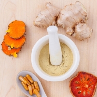 Full-spectrum botanical extracts manufacturing - from ginger roots to standardized powder