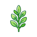 Botanical & Herbal Extracts