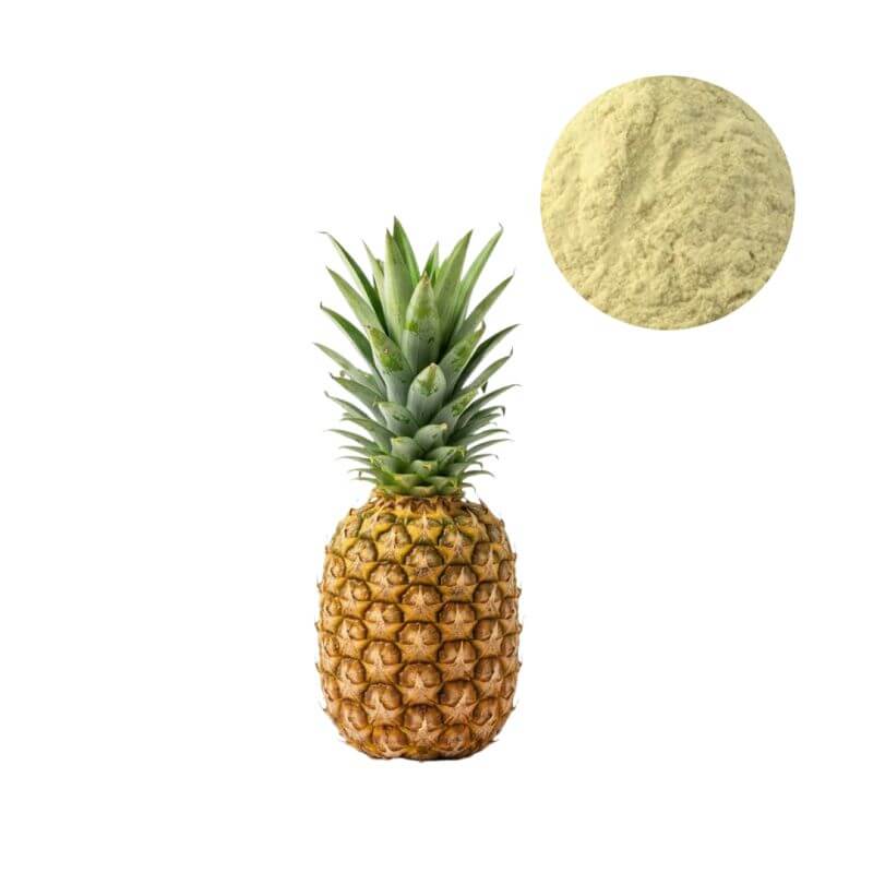 High-activity 2400 GDU/g Bromelain Powder next to a fresh pineapple, sourcing from stem.