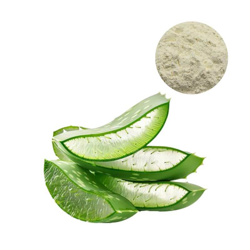 Bulk Aloe Vera gel extract powder 200:1 with fresh inner leaf gel source