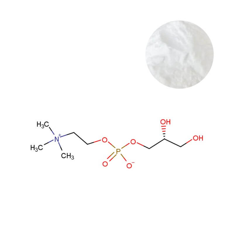 Bulk Alpha GPC powder with molecular structure diagram for supplement raw material supplier