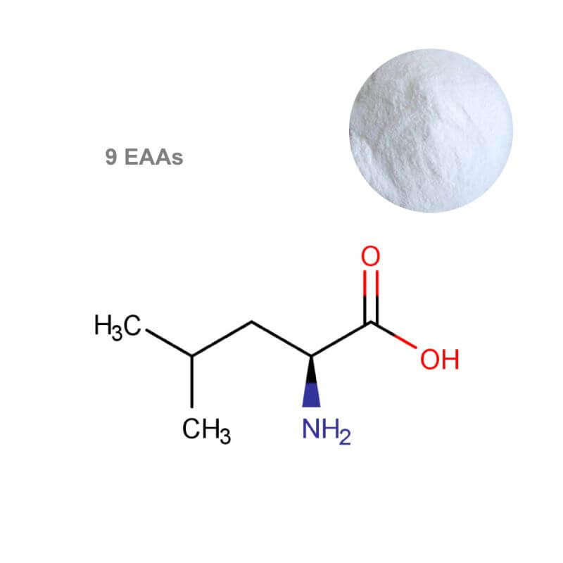 Pure EAA powder (9 Essential Amino Acids) for supplement manufacturing, fermentation-derived, ≥98% purity.