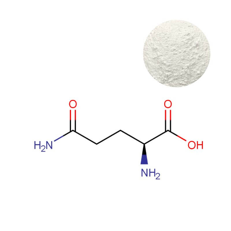 High purity L-Glutamine powder (≥99%) with molecular structure for supplement formulation.