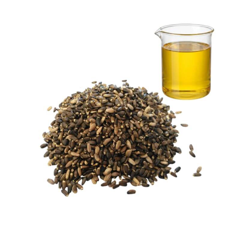 Bulk cold pressed milk thistle seed oil in a beaker next to raw seeds for B2B supplement sourcing.