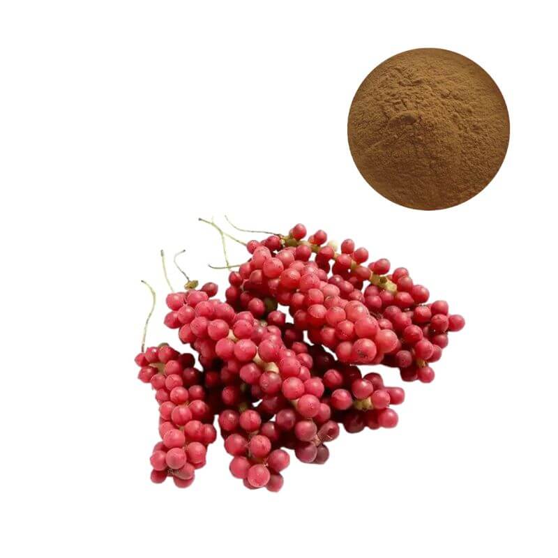 HPLC standardized schisandra chinensis extract powder with 2% to 9% schisandrins for B2B supply
