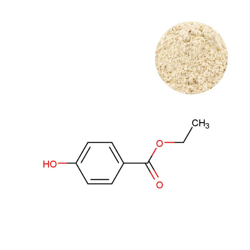 Catalase Powder (100,000 U/g) with molecular structure, GMP certified enzyme supplier.