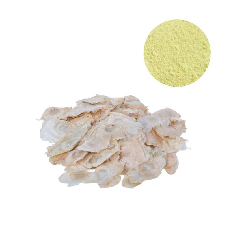 Premium 98% Chrysin powder with Oroxylum indicum seeds for B2B supplement formulation.