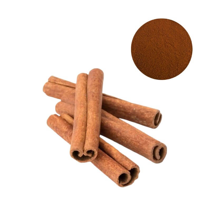 Bulk Cinnamon Bark Extract Powder (10:1 Ratio, 20% Polyphenols) from Cinnamomum cassia plant.