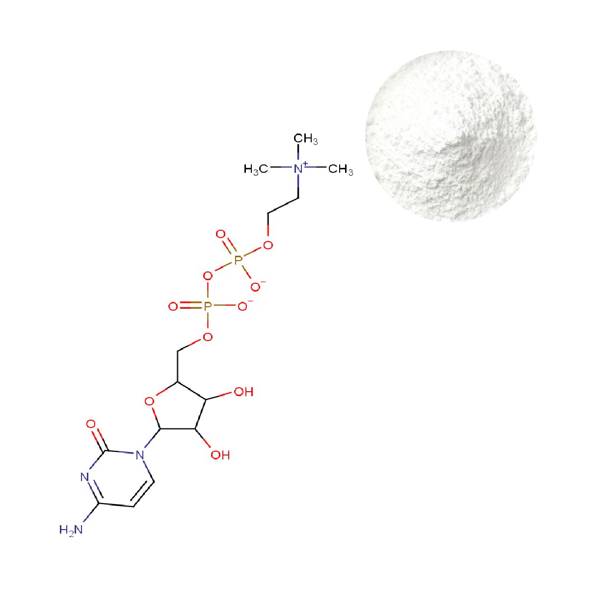 GMP Certified Citicoline CDP-Choline Powder and Molecular Structure | Oclean Nutra