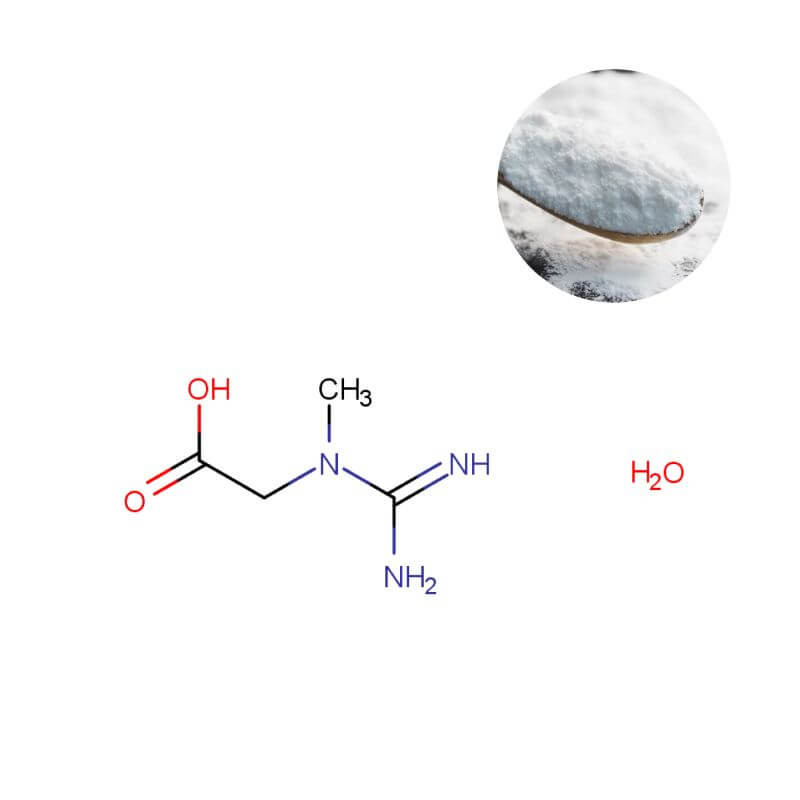 Premium 200 Mesh Creatine Monohydrate Powder with 99.9% purity and molecular structure, HPLC-verified for sports nutrition supply.