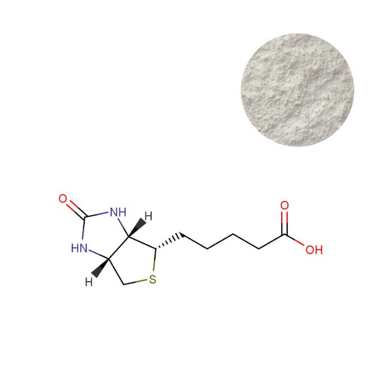 D-Biotin 99% USP grade powder with molecular structure