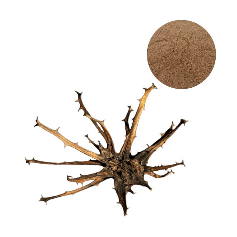 Bulk Devils Claw extract powder with standardized Harpagoside and botanical root source.