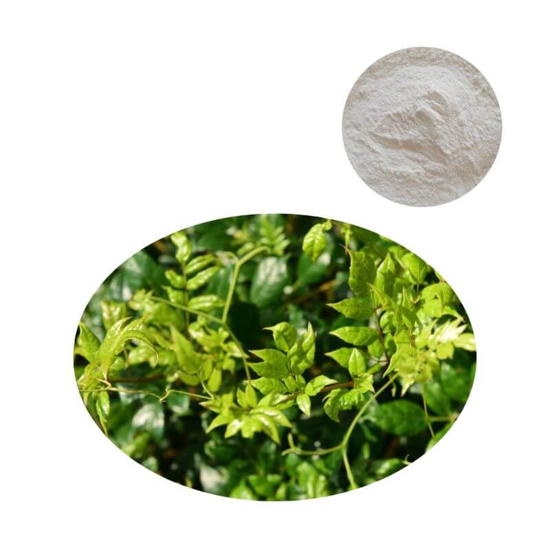 98% Dihydromyricetin powder with natural Vine Tea (Ampelopsis grossedentata) source