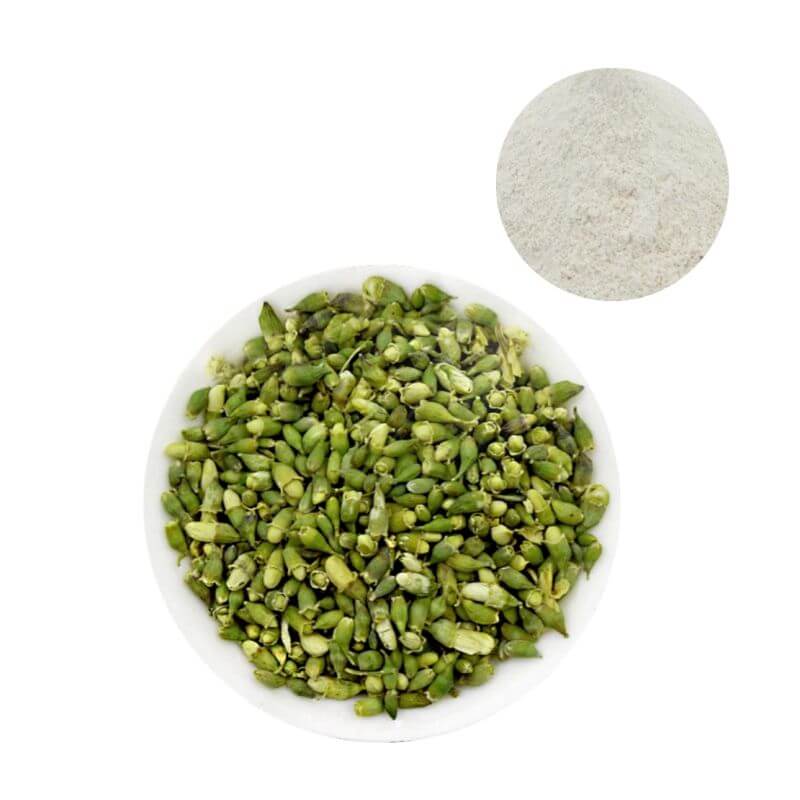 Bulk Genistein Powder 98% HPLC derived from natural Sophora japonica for supplement formulation.