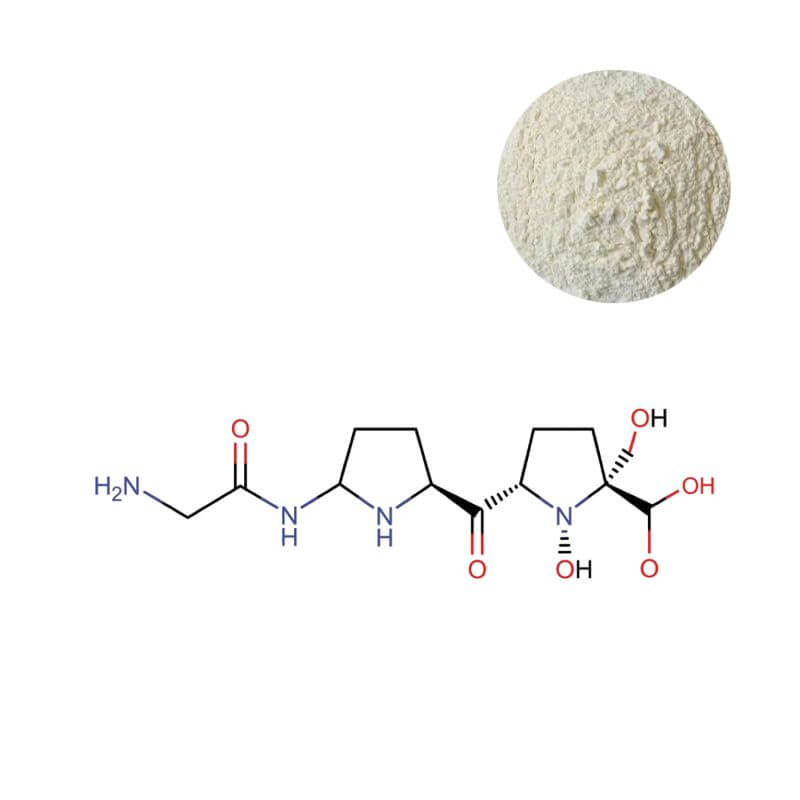 Hydrolyzed bovine collagen powder and Gly-Pro-Hyp active peptide structure for bulk supply.
