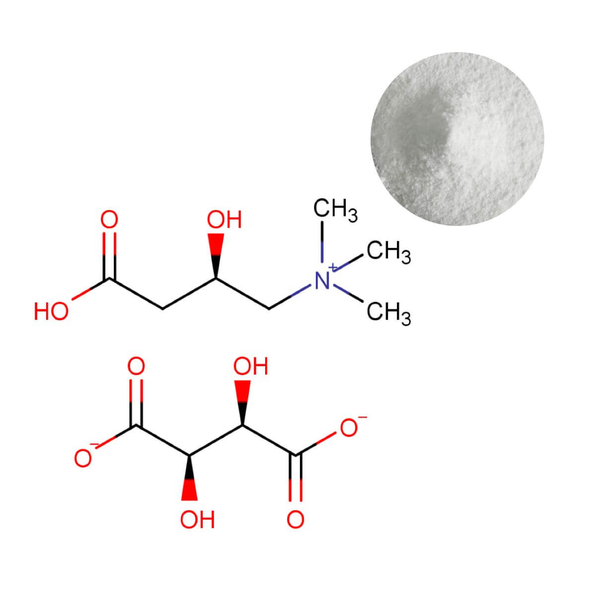 L-Carnitine L-Tartrate Powder and Molecular Structure | Bulk Supplier