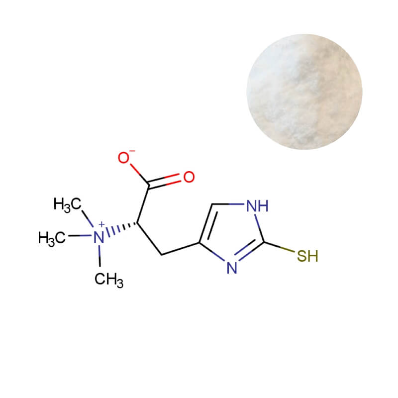 L-Ergothioneine industrial powder with molecular structure diagram for nutraceutical manufacturing