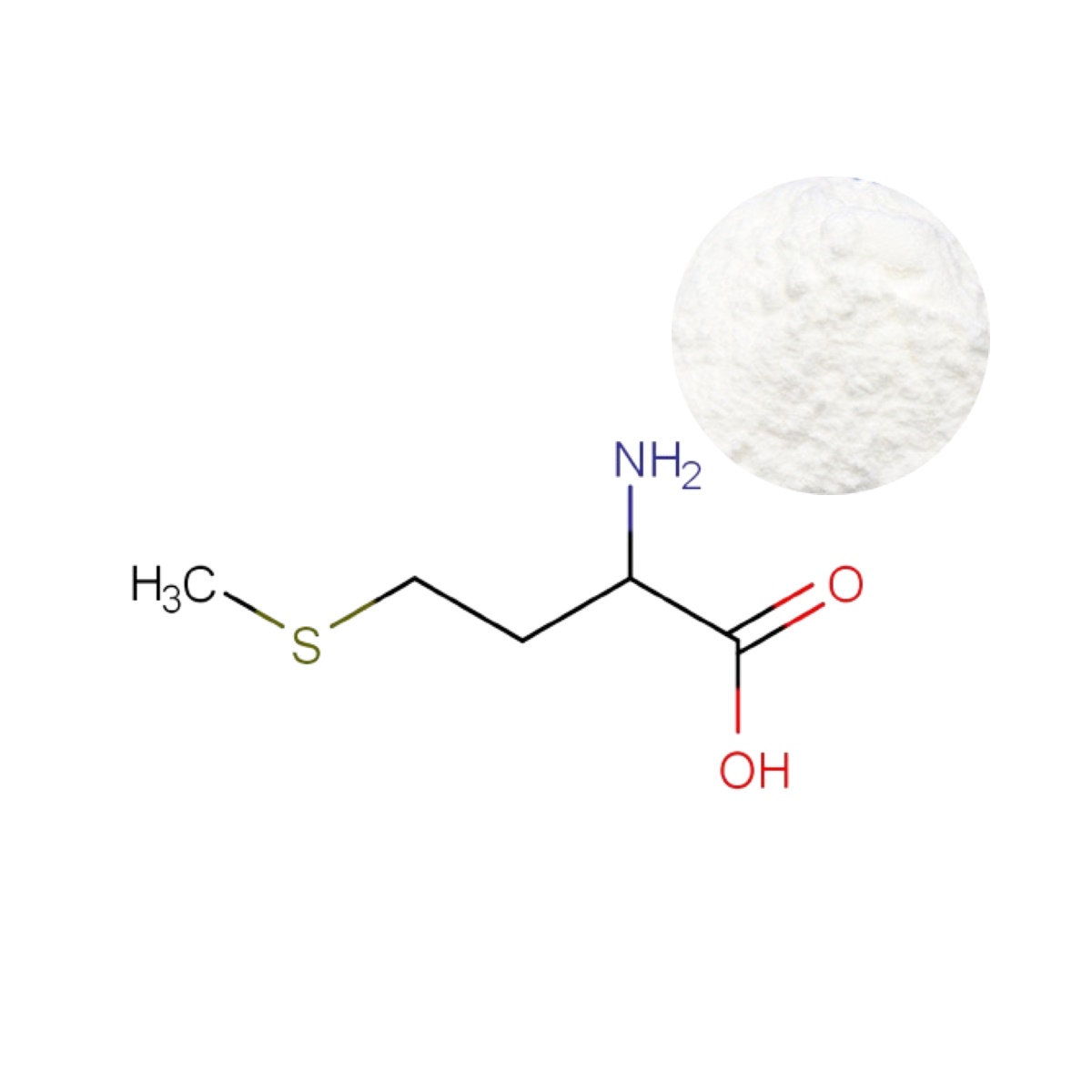 Pharmaceutical-grade L-Methionine powder with 3D molecular structure (C₅H₁₁NO₂S)