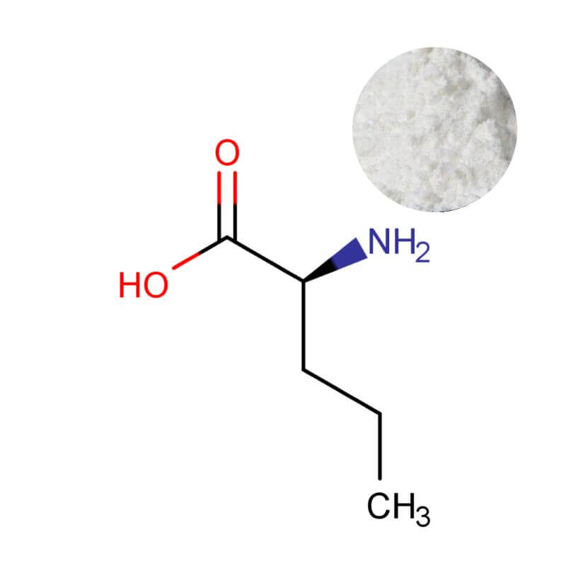 High-purity L-Norvaline powder with technical molecular structure for sports nutrition and nootropic formulations.