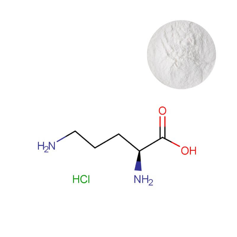 99% pure L-Ornithine HCl powder with molecular structure diagram for supplement formulation.