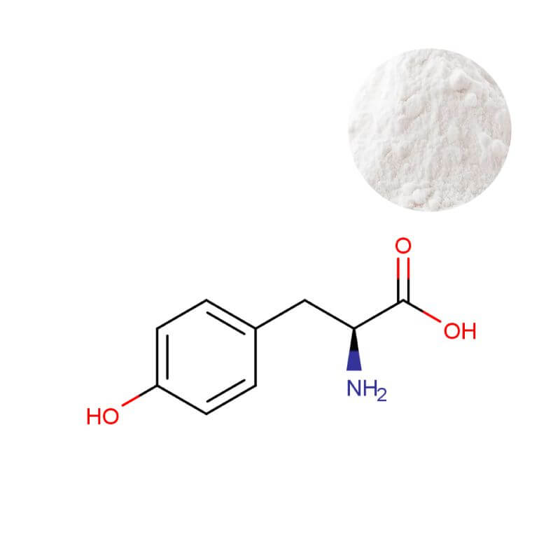 Premium L-Tyrosine powder 99% min with molecular structure for supplement formulation