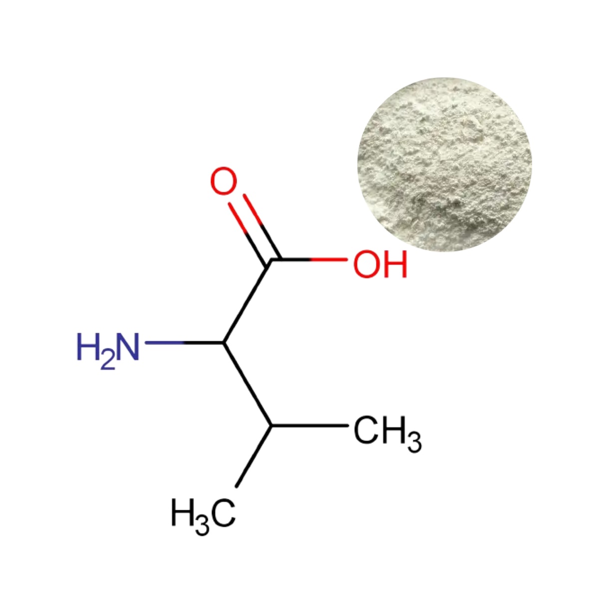 Pharmaceutical-grade L-Valine powder with 3D molecular structure (C₅H₁₁NO₂)
