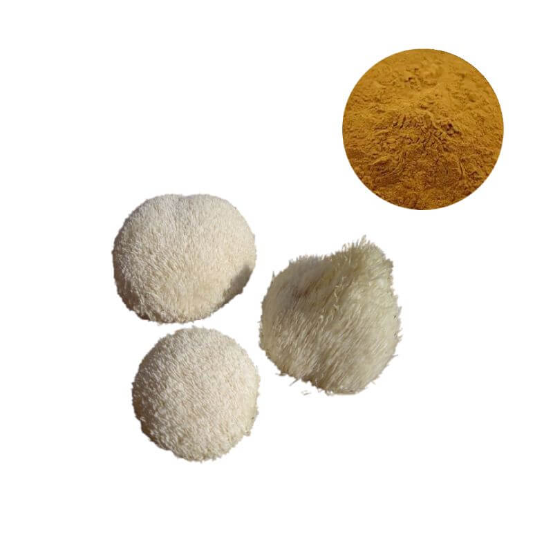 Premium Lion's Mane Mushroom Extract Powder in Bulk – High‑quality supplement ingredient with whole fruiting body for cognitive health formulations.