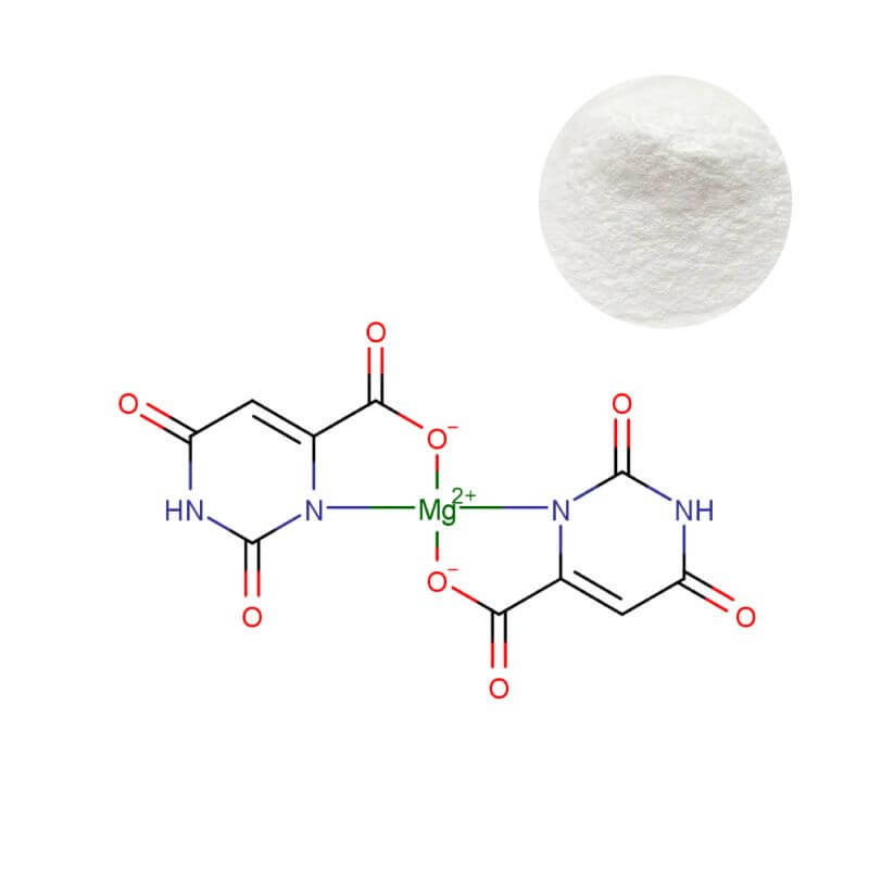 Magnesium orotate dihydrate powder and molecular structure for pharmaceutical formulation