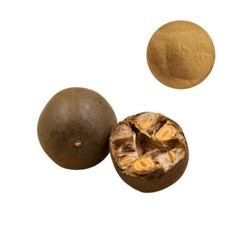 Bulk Monk Fruit Extract Powder (20-50% Mogrosides) in a clear package next to fresh monk fruits.