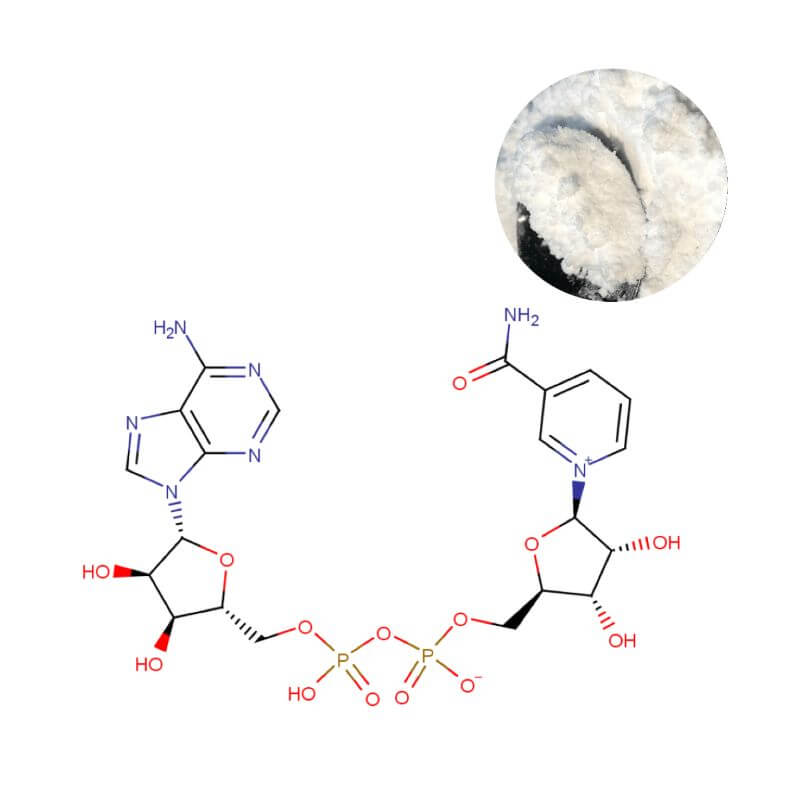 NAD+ Powder with Molecular Structure Diagram - High Purity CAS 53-84-9