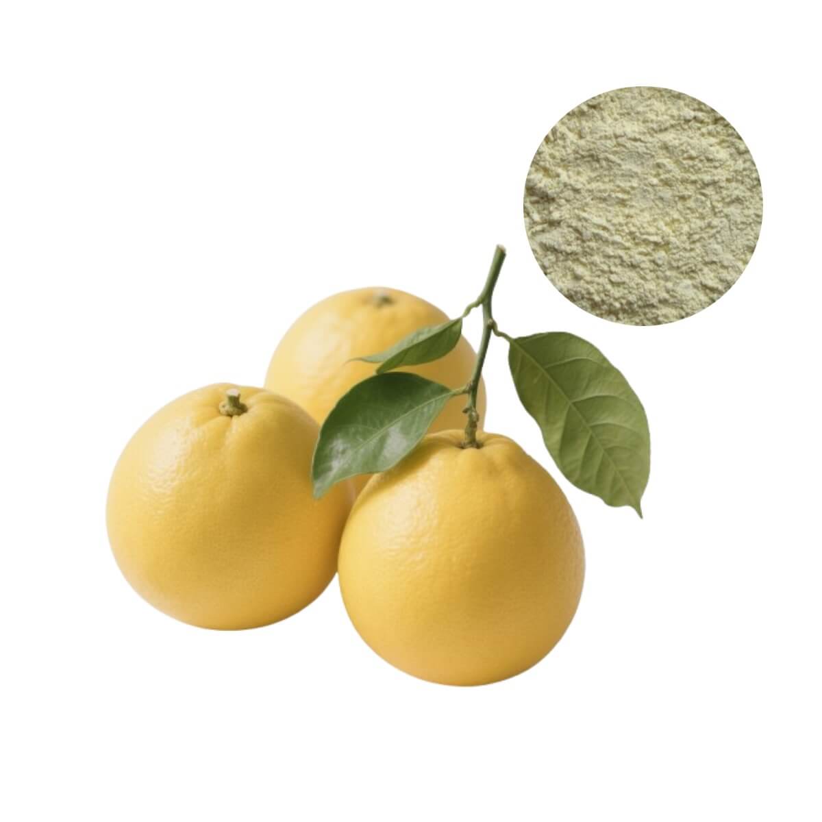 98% Purity Naringin Extract Powder sourced from grapefruit, a key ingredient for weight management and metabolic health supplements