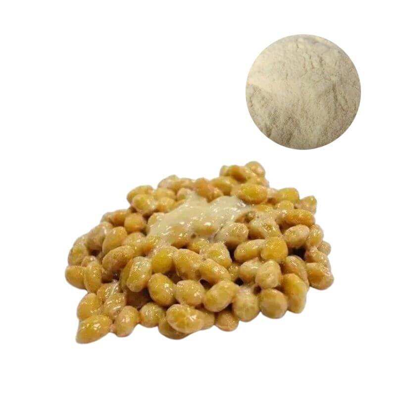 Premium 20000 FU/g nattokinase powder specification with natural fermented natto