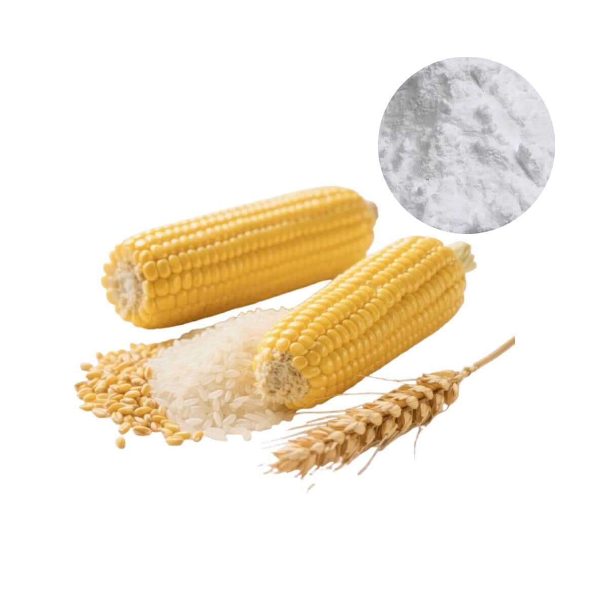 Oclean Nutra - Supplier of Natural Maltodextrin made from Corn and Rice