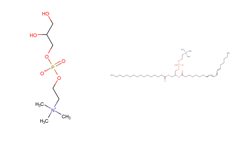 Alpha GPC and Phosphatidylcholine molecular structure Comparison of molecular structures between phosphatidylcholine and Alpha GPC shows that phosphatidylcholine has two additional fatty acid chains