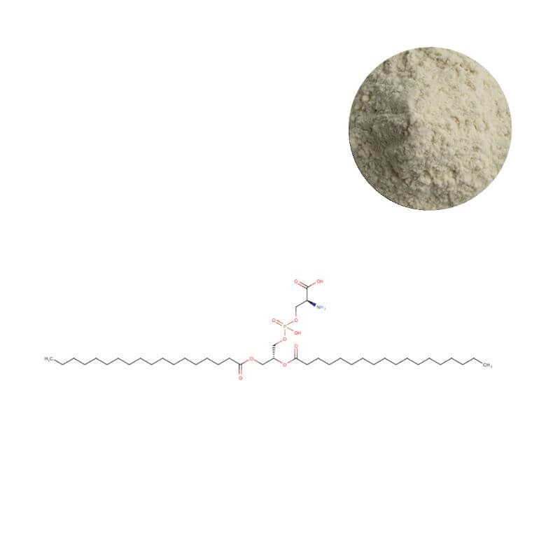 Phosphatidylserine (PS) Powder - Premium Brain Health Ingredient with Molecular Formula | Oclean Nutra Supplier
