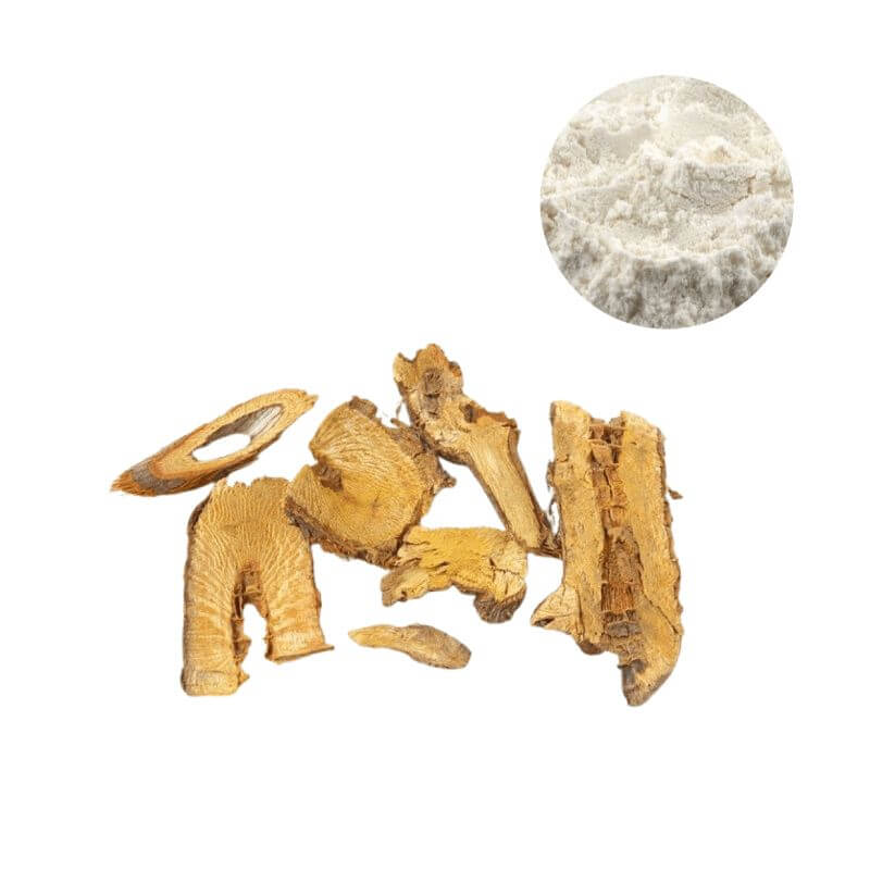 Polygonum Cuspidatum (Japanese Knotweed) Root Extract Powder - Raw Root Source and Fine Off-White Powder