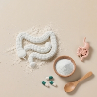 Prebiotic fiber powder and capsules with intestinal model - gut microbiome support mechanism