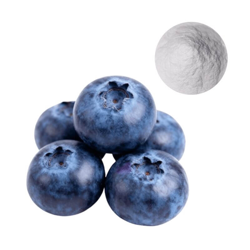 Pterostilbene Powder Sourced from Blueberries | High-Purity Ingredient for Supplement Manufacturing