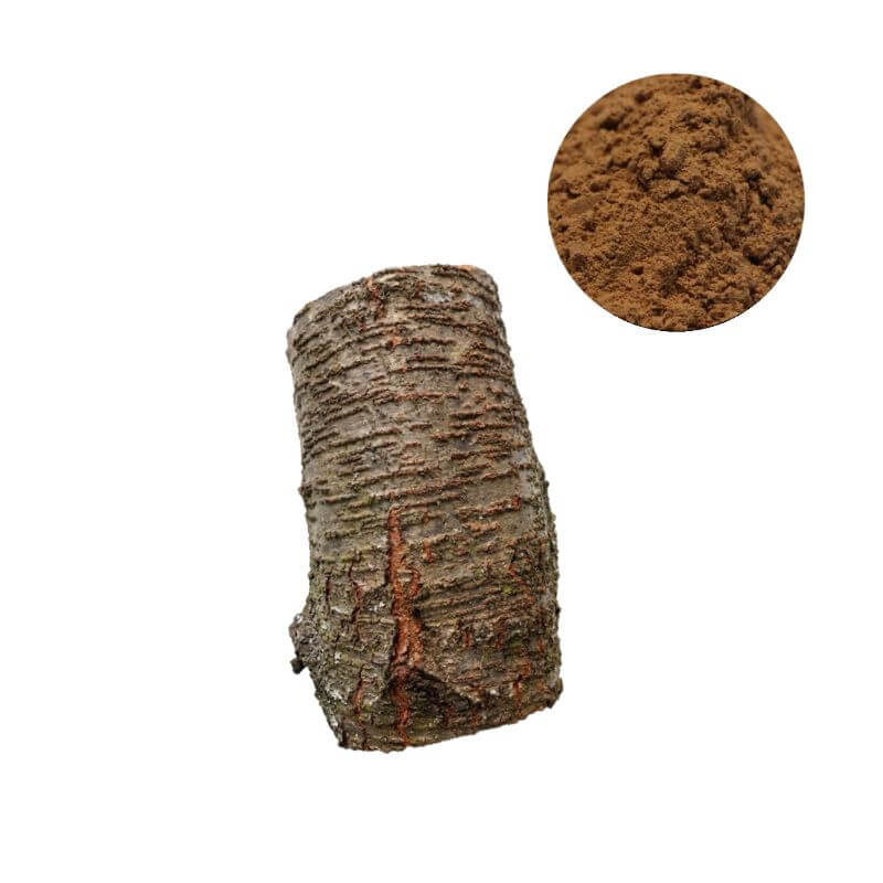 Premium Pygeum Africanum Extract Powder with 2.5% Phytosterols, showing raw bark and fine brown powder for B2B supplement manufacturing.
