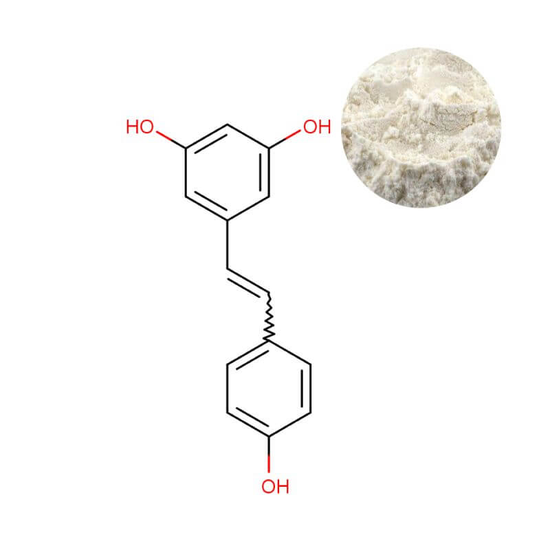 High purity trans-resveratrol powder (98% by HPLC) with molecular structure, derived from Polygonum cuspidatum for dietary supplement formulations