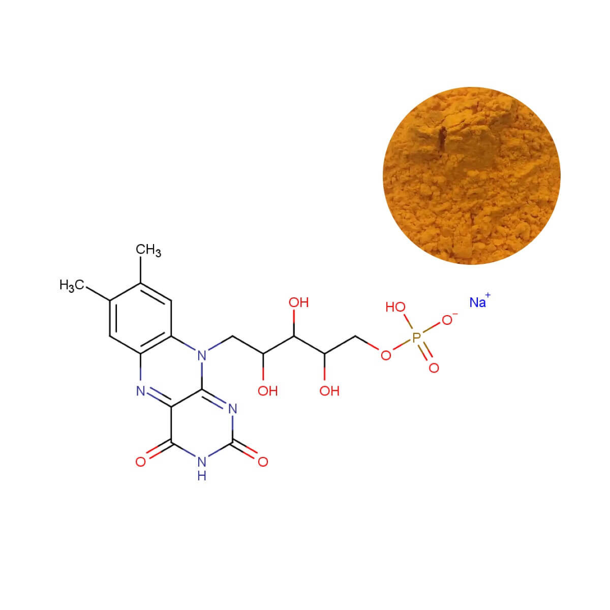 Bulk supply of Food Grade Riboflavin 5'-Phosphate Sodium powder, displayed with its molecular structure by supplier Oclean Nutra.