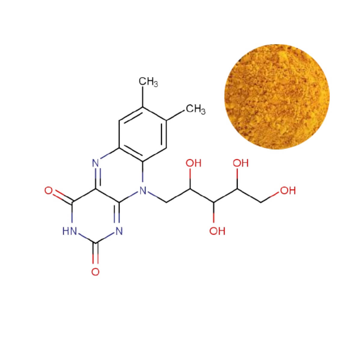 Riboflavin (Vitamin B2) Powder with molecular structure, an essential vitamin for energy metabolism and food fortification