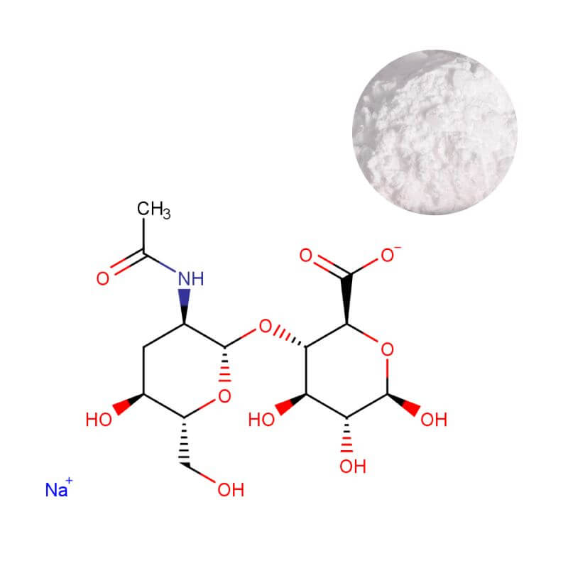 Sodium Hyaluronate Powder Bulk Ingredient with Molecular Diagram | Oclean Nutra