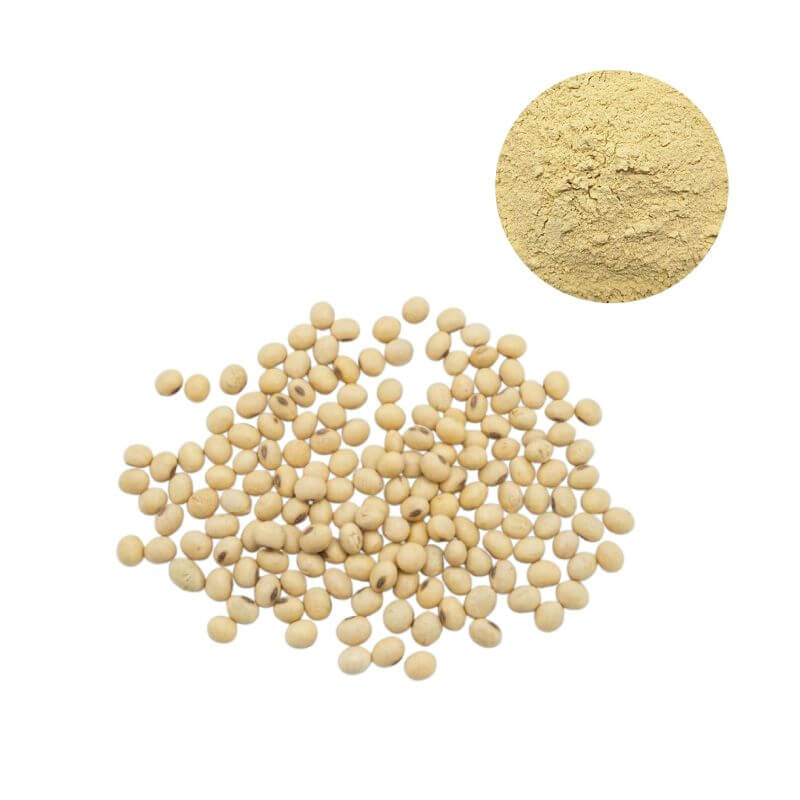 High purity Soy Lecithin Phosphatidylcholine (PC) powder with non-GMO soybean source, CAS 8002-43-5